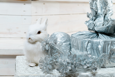 Christmas concept, white rabbit and gifts, christmas decorationの写真素材