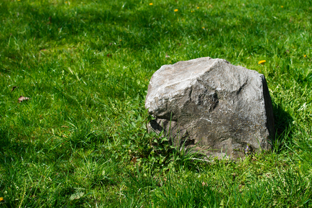 Large stone closeup on green grass, copy space for text, texture backgroundの写真素材
