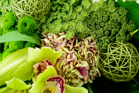 close-up bouquet of blooming green flowers. Trendy greenery concept, backgroundの写真素材