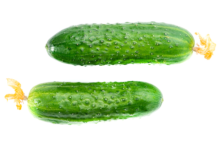 Two green cucumbers isolatedの写真素材