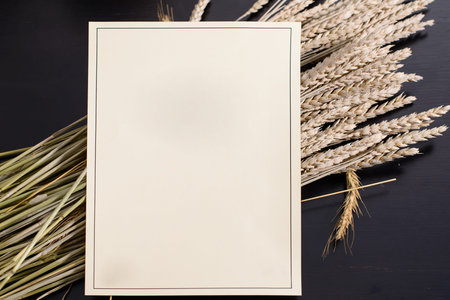 wheat and empty paper with copyspace for text on dark background