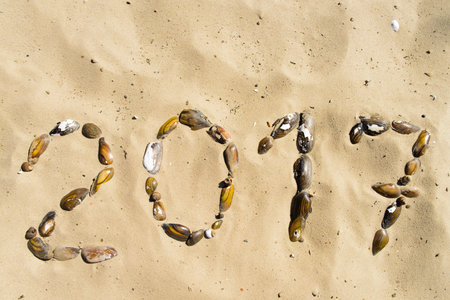 Year 2017 of seashells on sand
