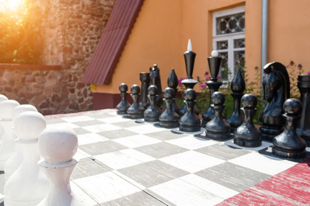 Party in chess on a summer dayの写真素材