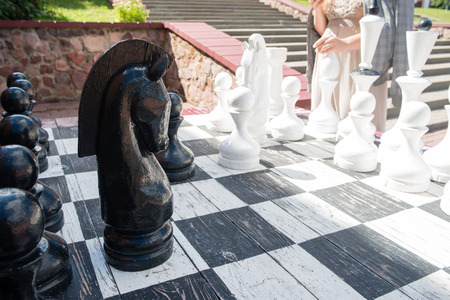 game great chess in the park on a summer dayの写真素材