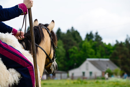 cavalryman ride on beautiful brown horse, house in the background forest and housesの写真素材