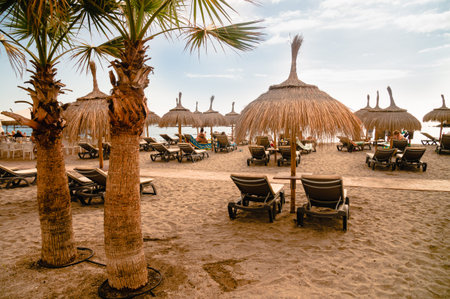 Beach straw umbrellas and palm trees, umbrellas and palm trees on beach in sun, Wooden sunbed on...