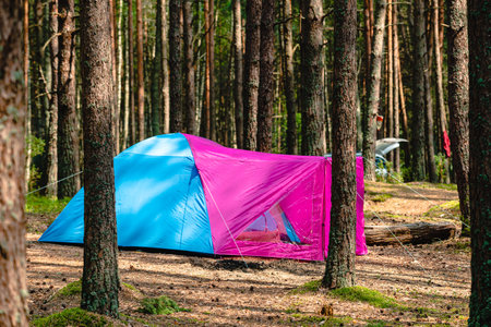 hiking travel life style passion concept picture of tent camp side place in forest, hiking concept Adventures Camping tourism pine forest Travelの写真素材