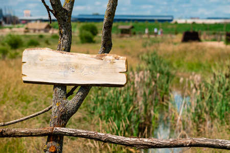 rustic wooden notice board in public park, wooden placard on a tree with an empty space for text. Wooden empty plank arrow. Mockupの写真素材