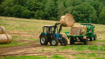 Bales of hay are loaded onto a trailer by a tractor in countryside during the summer season, tractor loads round bales of straw on the trailerの写真素材