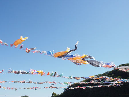 Pray for children's healthy growth and fish ornaments, koinoboriのeditorial素材