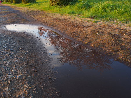 Dirt road pool landscapesの写真素材