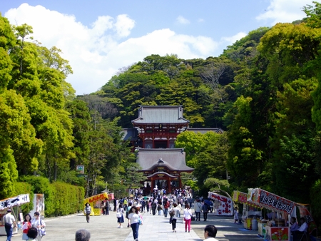 TsuruokaHachiman shrine Kamakura Japanのeditorial素材