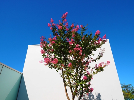 Yokosuka Kanagawa,Japan/Aug 22,2018:courtyard of Yokosuka Museum of Art