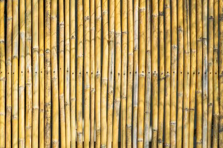 Fence decoration by yellow bambooの写真素材