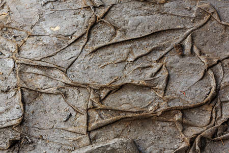 Old and dirty grunge floor texture backgroundの写真素材