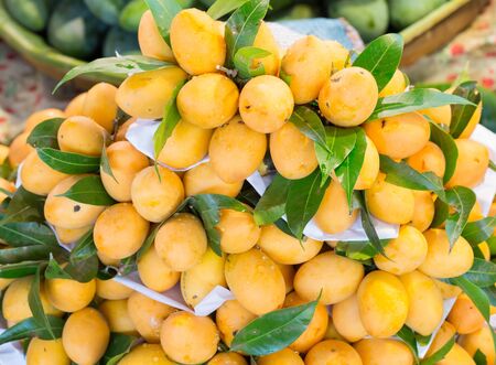 Sweet and fresh marian plum sale in marketの写真素材
