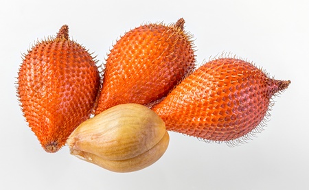 Salacca or zalacca tropical fruit isolated on white backgroundの写真素材