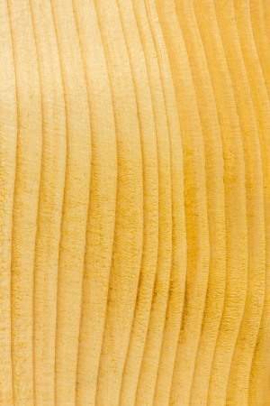 Close up beautiful pine wood texture backgroundの写真素材