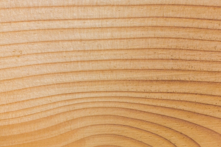Close up beautiful pine wood texture backgroundの写真素材