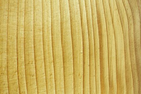 Close up beautiful pine wood texture backgroundの写真素材