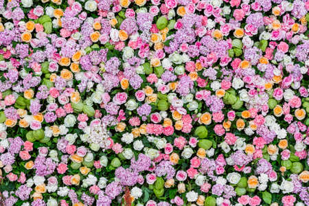 Colorful rose and carnation flower background for wedding ceremonyの写真素材