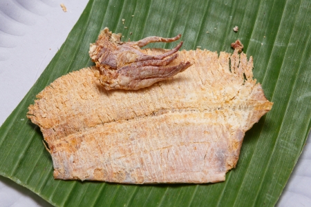 Close up Grilled dry squid on banana leaf in paper dishの写真素材