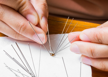 Use of insect entomology pins to set bedbug or cimex on white paperの写真素材