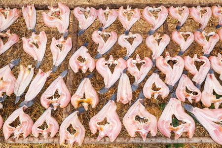 Thai traditional dried striped snakehead fish on wire mesh