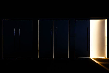 One door opened and light coming through the space mean hope or Exit of life