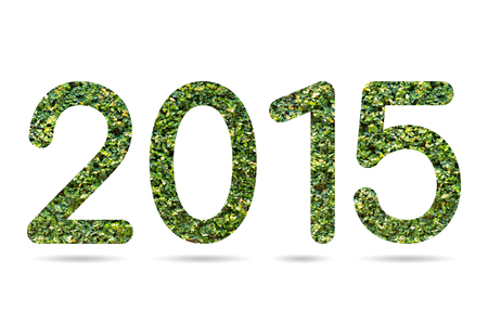 2015 numeric from ficus pumila leaves wall texture  isolated on white with pathの写真素材