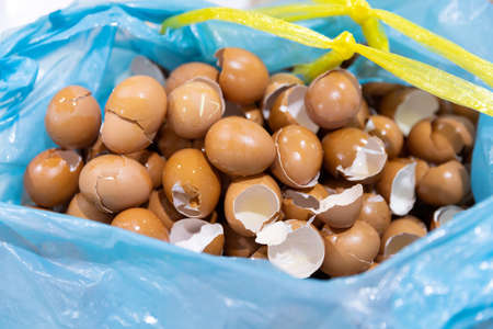 Closeup heap of chicken eggshell fragments in blue plastic bag, waste from kitchen, alternative natural calcium source from natureの写真素材