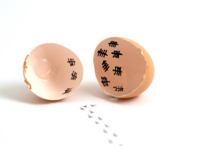 A cracked open egg showing a chicken counting down the days to hatching