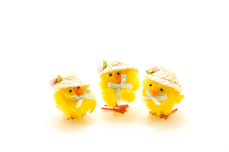 Three little fake easter chicks with hats on isloated on a white backgroundの写真素材