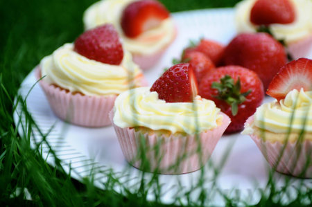 Strawberry and Vanilla Cupcakes on Grassの写真素材