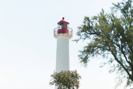 Bright Lighthouse surrounded by trees and bushesの写真素材
