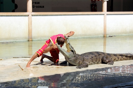 crocodileのeditorial素材