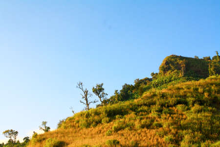 Green hillsの写真素材