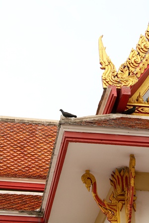 Buddhist church roofの写真素材