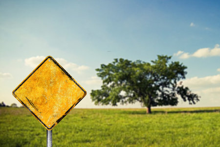 Blank dirty yellow road signの写真素材