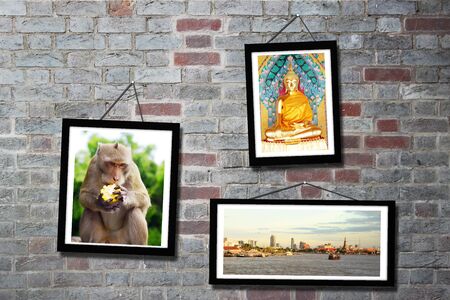 framesの写真素材