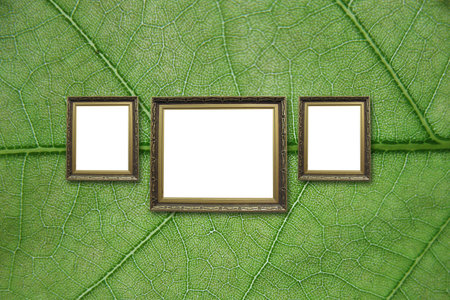 picture frame on wall to put your own pictures in 