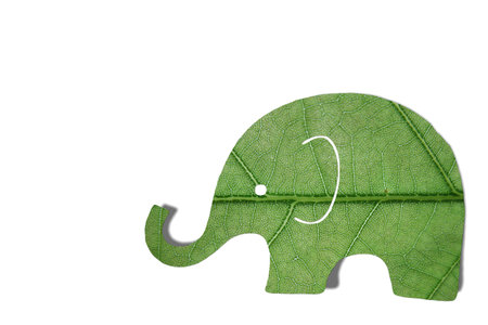 elephantの写真素材