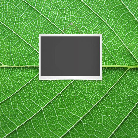 Blank chalkboard hangの写真素材