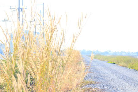 dirt roadの写真素材