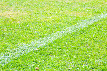 grass football