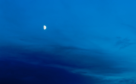 Blue Moonの写真素材