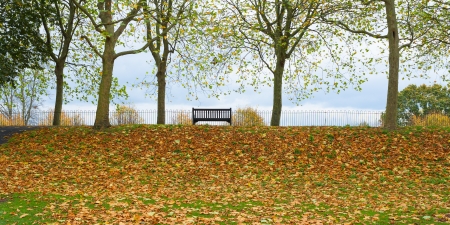 Autumn park bench sceneの写真素材