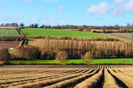 english countryside sceneの写真素材