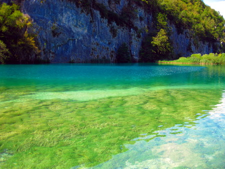 Calm green water Lakeの写真素材