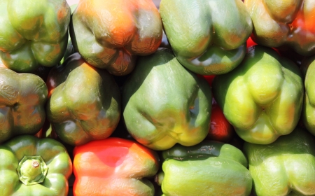 Green peppers fresh, tasty and healthy foodsの写真素材